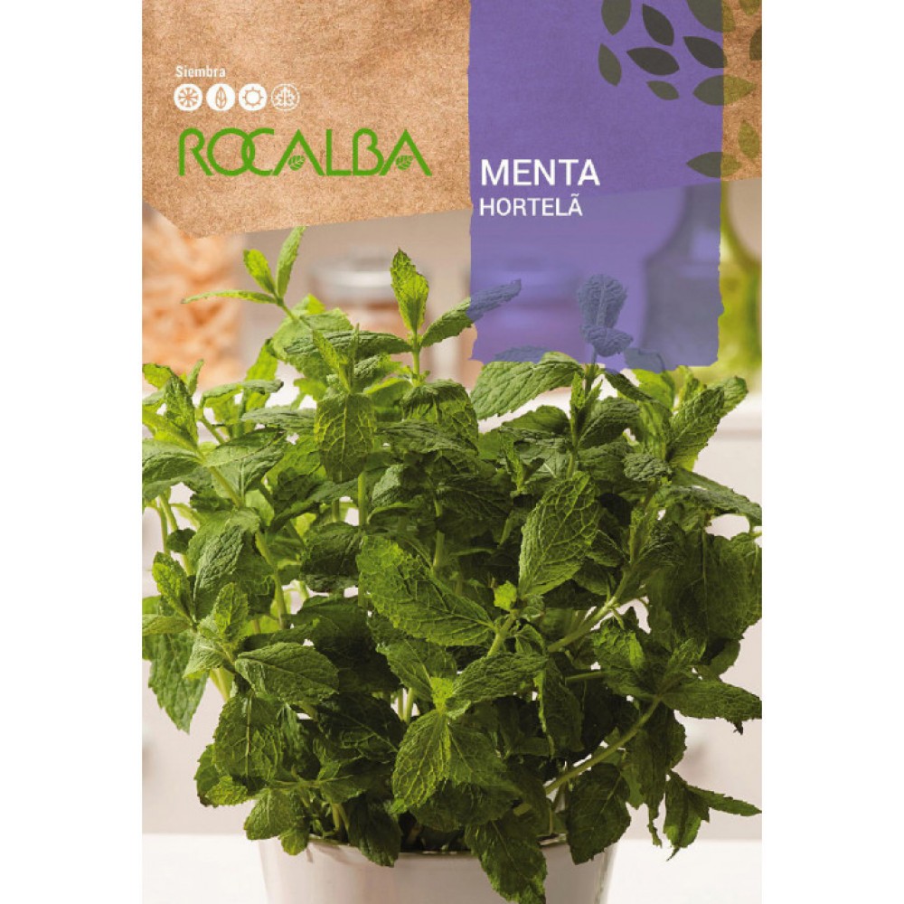 S.MENTA ROCALBA HORTELA MENTA