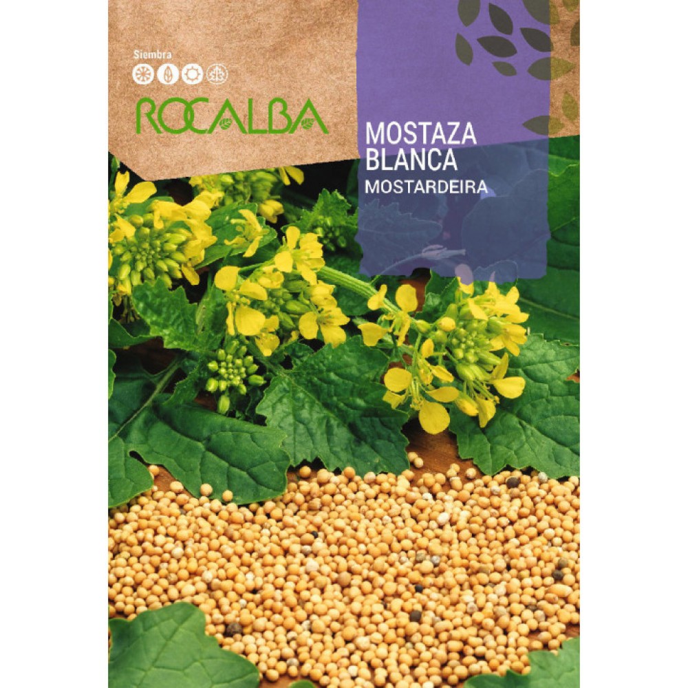 S.MOSTARDEIRA ROCALBA AROMATICA
