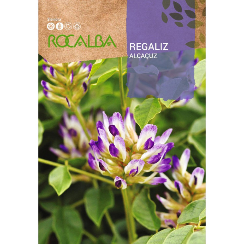 S.ALCAÇUZ ROCALBA AROMATICA