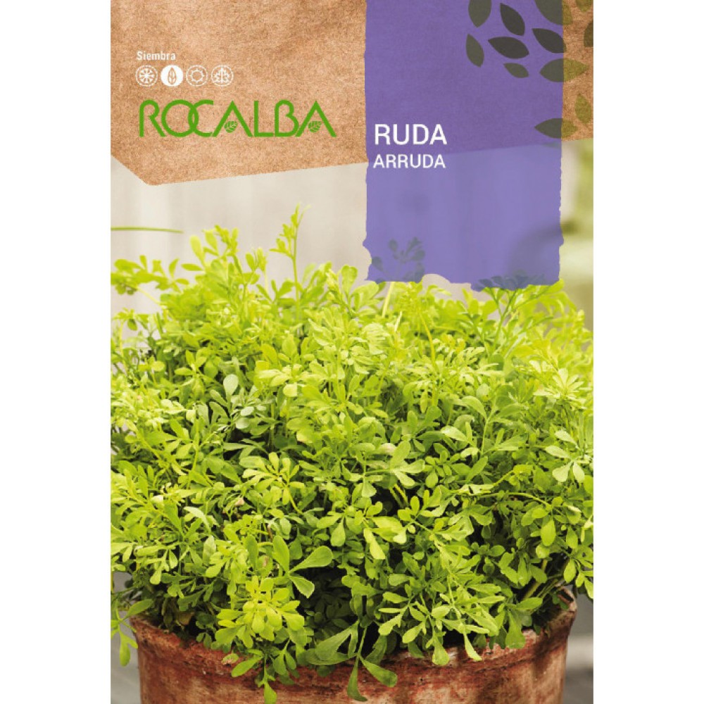 S.ARRUDA ROCALBA