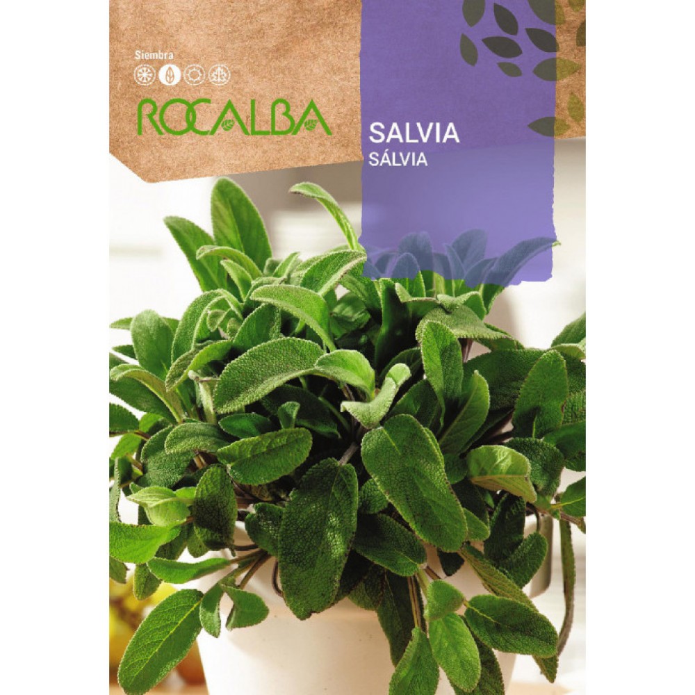 S.SALVIA ROCALBA AROMATICA