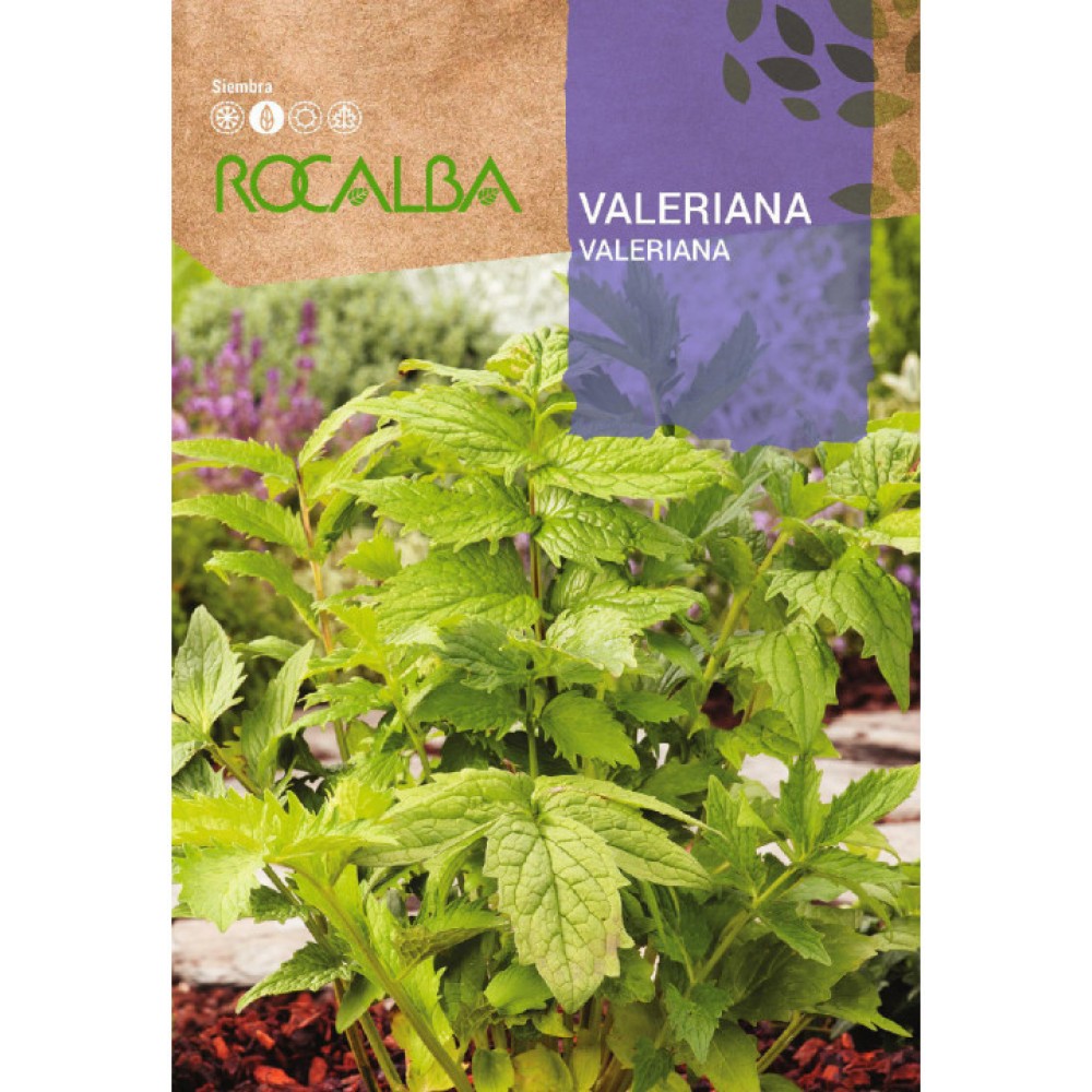 S.VALERIANA ROCALBA AROMATICA
