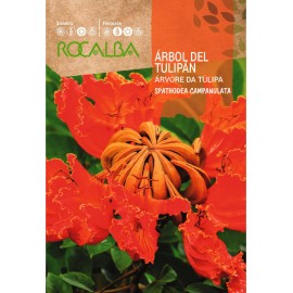 S.ARVORE DA TULIPA ROCALBA