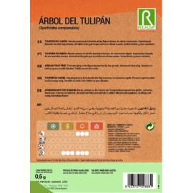S.ARVORE DA TULIPA ROCALBA