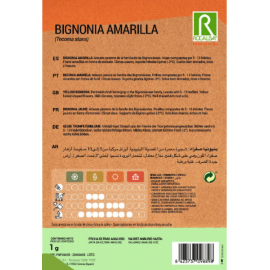 S.BIGNONIA ROCALBA AMARELA