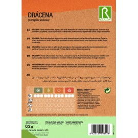 S.DRACAENA ROCALBA