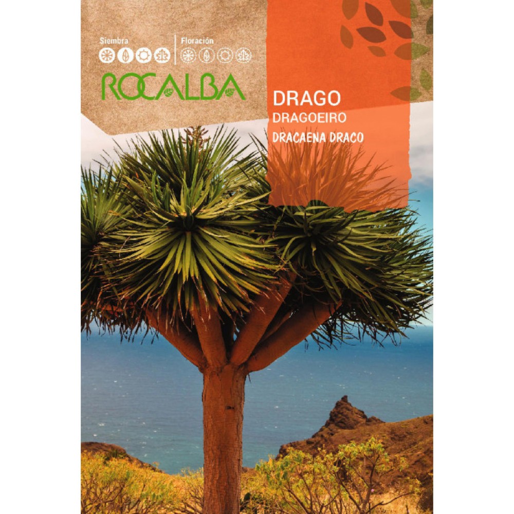 S.DRAGOEIRO ROCALBA