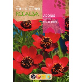S.ADONIS ROCALBA GOTA DE SANGUE