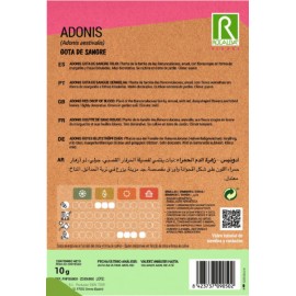 S.ADONIS ROCALBA GOTA DE SANGUE