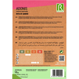 S.ADONIS ROCALBA GOTA DE SANGUE