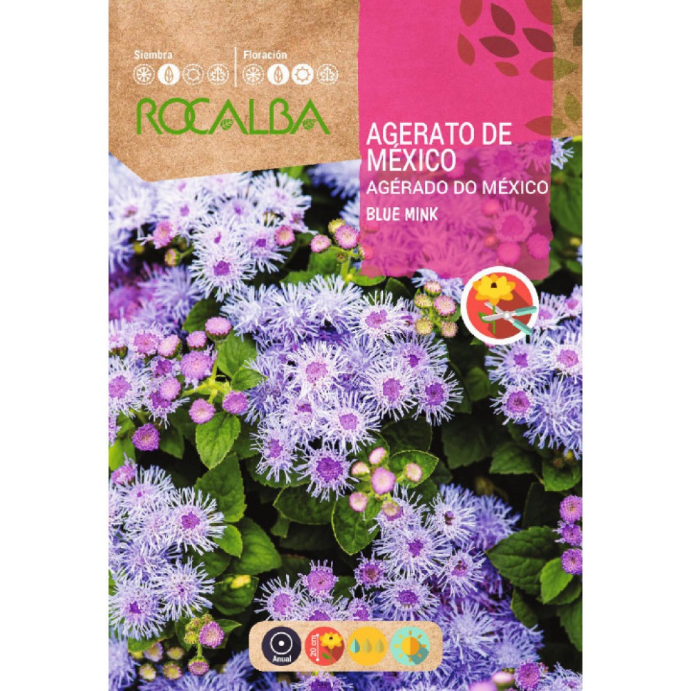 S.AGERADO ROCALBA MEXICO ANAO AZ.