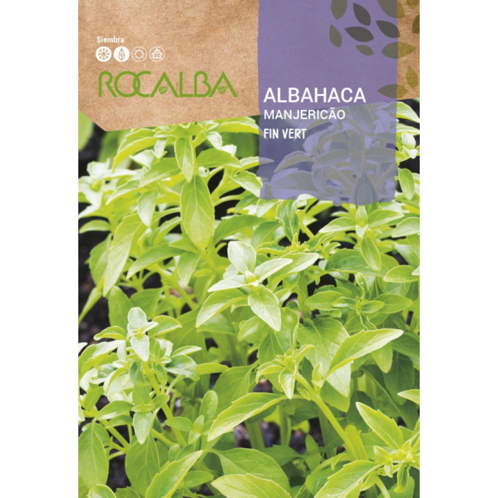 S.ALFAVACA ROCALBA MANJERICO