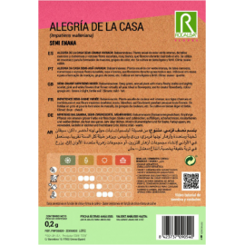 S.ALEGRIA ROCALBA CASA SEMI-AN.
