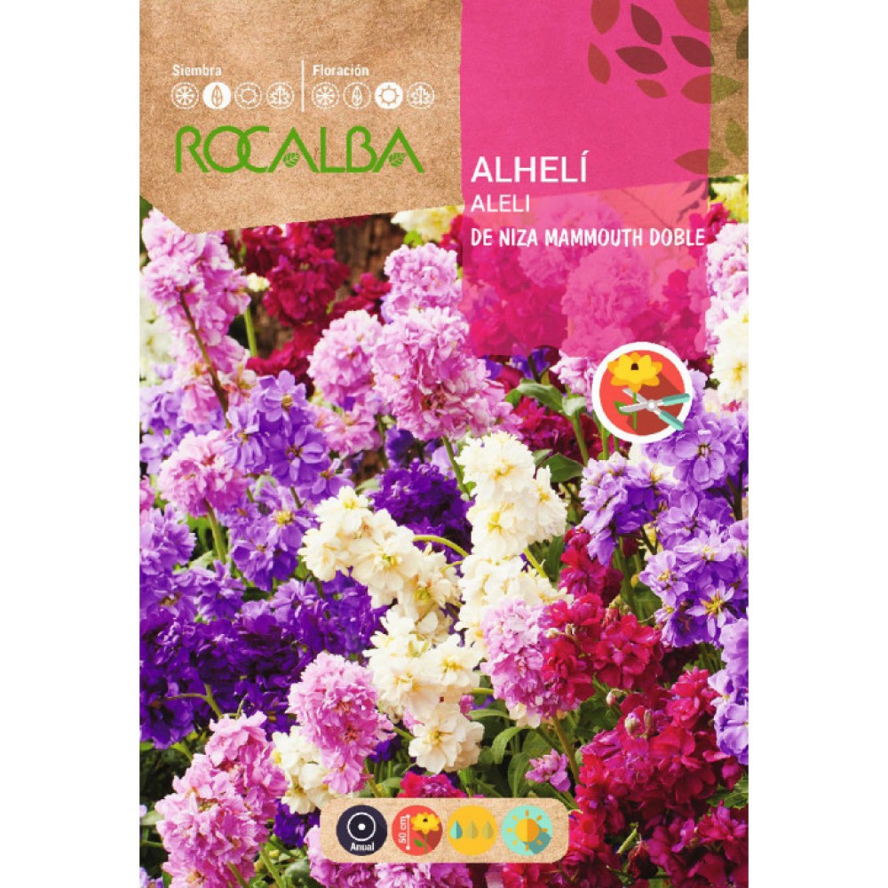 S.GOIVOS ROCALBA VARIADO NIZA