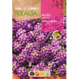 S.AMIEIRO ROCALBA COMPACTO VIOLETA