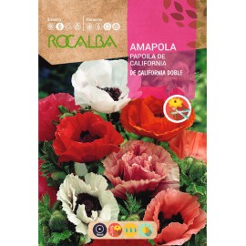 S.PAPOILA ROCALBA CALIFORNIA