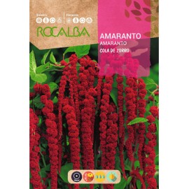 S.AMARANTO ROCALBA CAUDA ZORRO