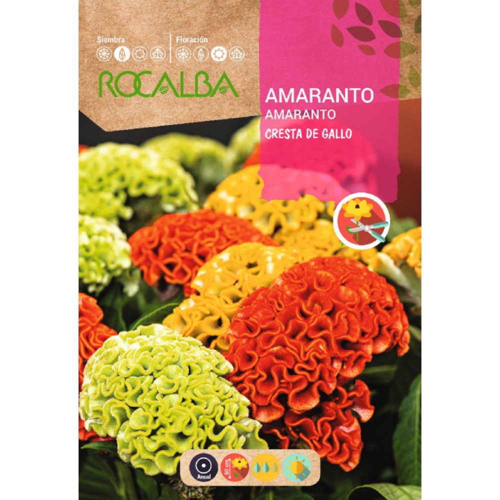 S.AMARANTO ROCALBA CRISTA DE GALO