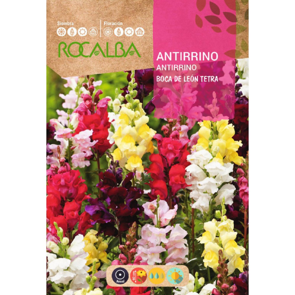 S.ANTIRRINO ROCALBA BOCA LEAO