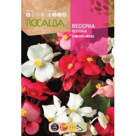 S.BEGONIA ROCALBA SEMPERFLOREN