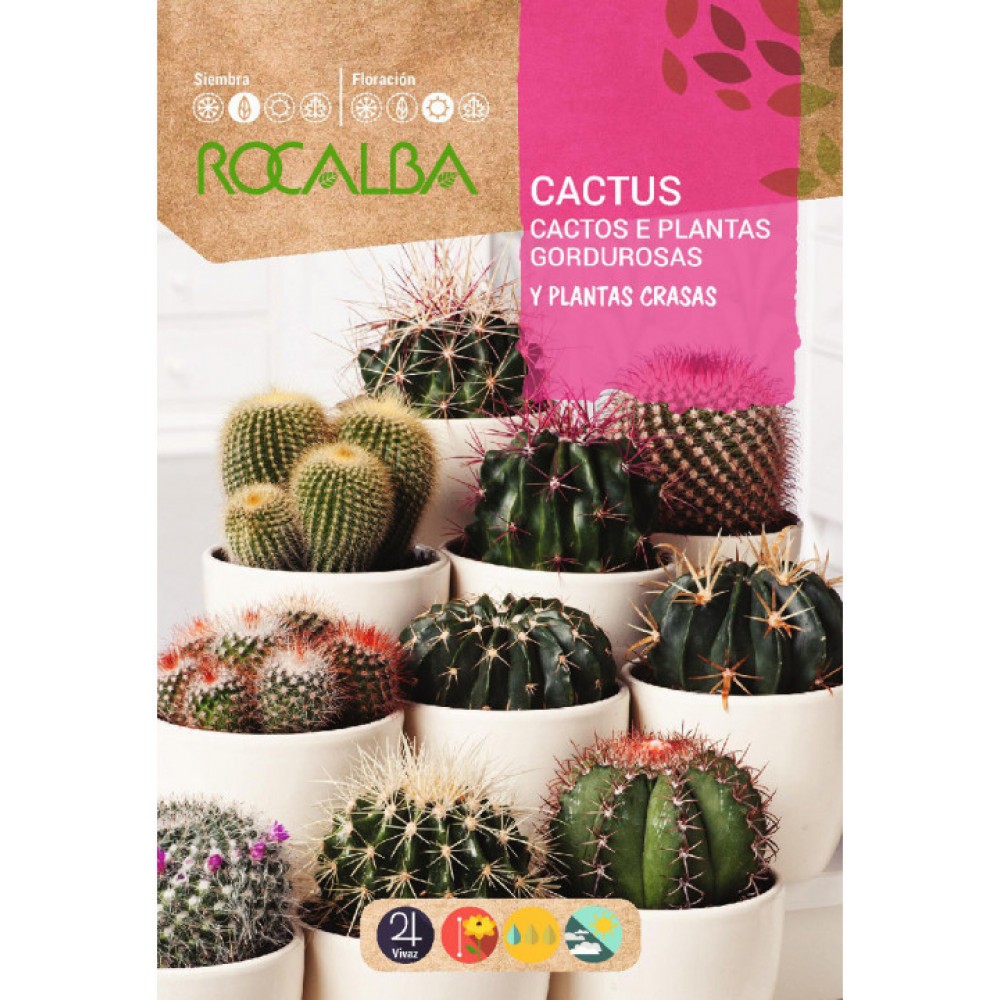 S.CACTOS ROCALBA PLANTAS VARIADAS