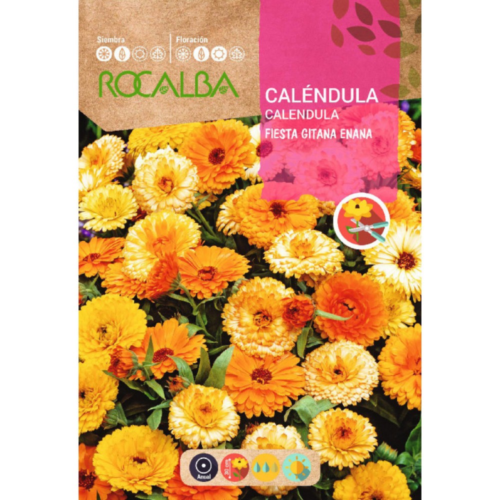S.CALENDULA ROCALBA ANA FESTA
