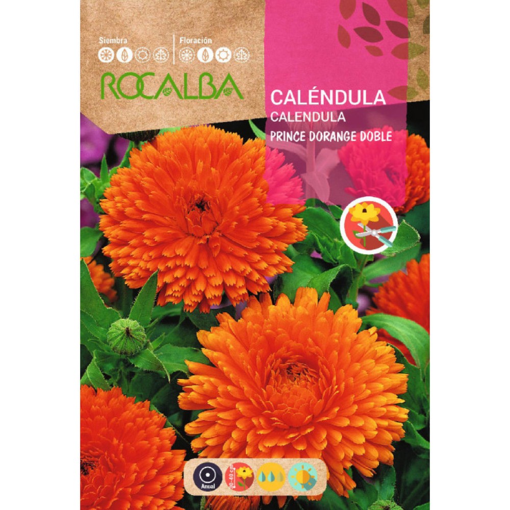 S.CALENDULA ROCALBA DUPLA PRINCESA