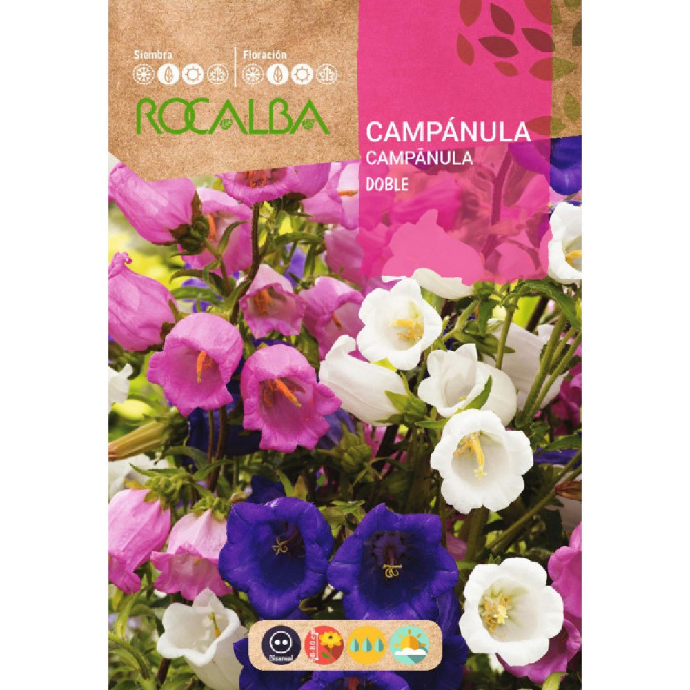 S.CAMPANULA DUPLA VARIADA
