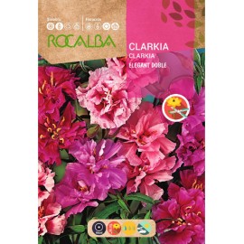 S.CLARKIA ROCALBA ELEGANTE DOBLE