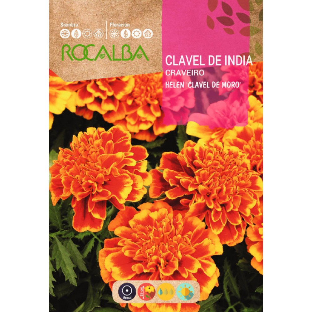 S.CRAVO ROCALBA DA INDIA DUPLO ANAO