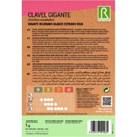 S.CRAVO ROCALBA GIGANTE ESTRIADO