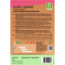 S.CRAVO ROCALBA GIGANTE ESTRIADO