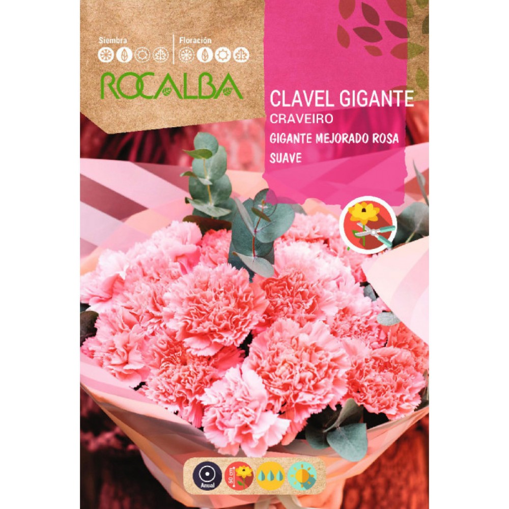 S.CRAVO ROCALBA GIGANTE ROSA PALIDO