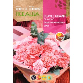 S.CRAVO ROCALBA GIGANTE ROSA PALIDO