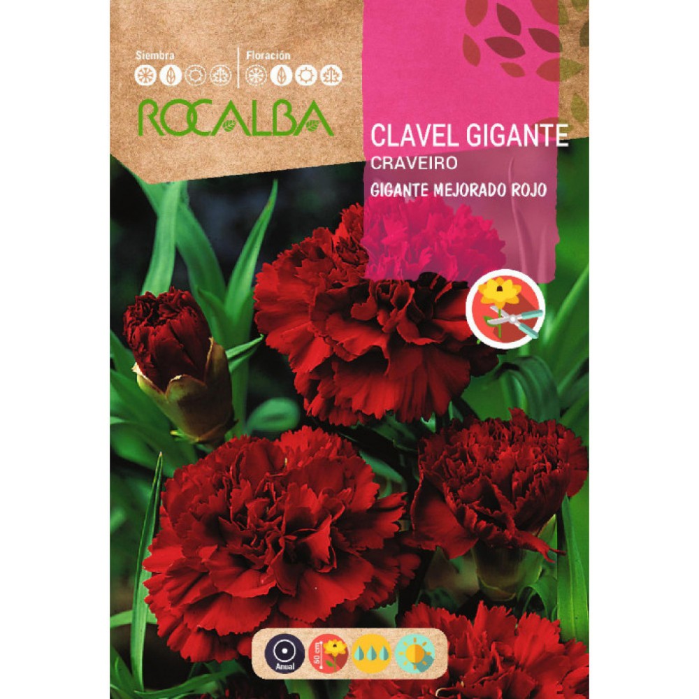 S.CRAVO ROCALBA GIGANTE VERMELHO
