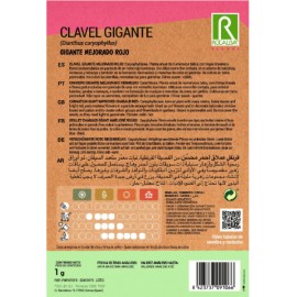 S.CRAVO ROCALBA GIGANTE VERMELHO