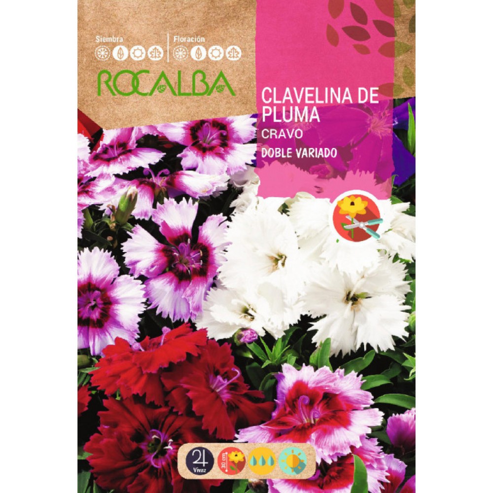 S.CRAVEIRO ROCALBA MIGNARDISE
