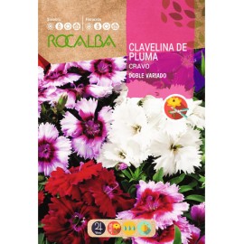 S.CRAVEIRO ROCALBA MIGNARDISE