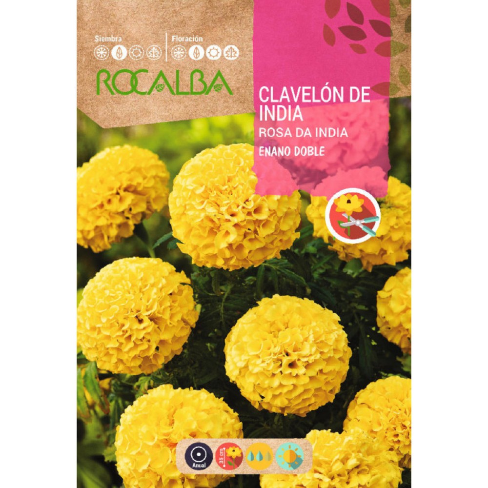 S.CRAVO ROCALBA ROSA INDIA ANA AMARELA