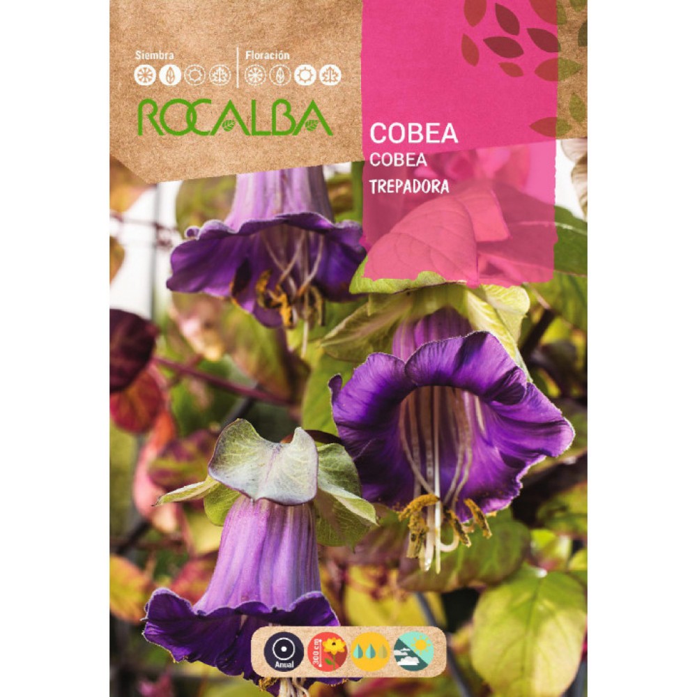 S.COBEA ROCALBA TREPADEIRA AZUL