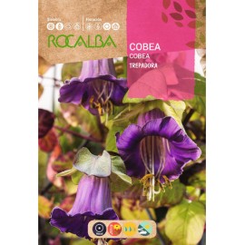 S.COBEA ROCALBA TREPADEIRA AZUL