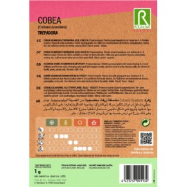 S.COBEA ROCALBA TREPADEIRA AZUL
