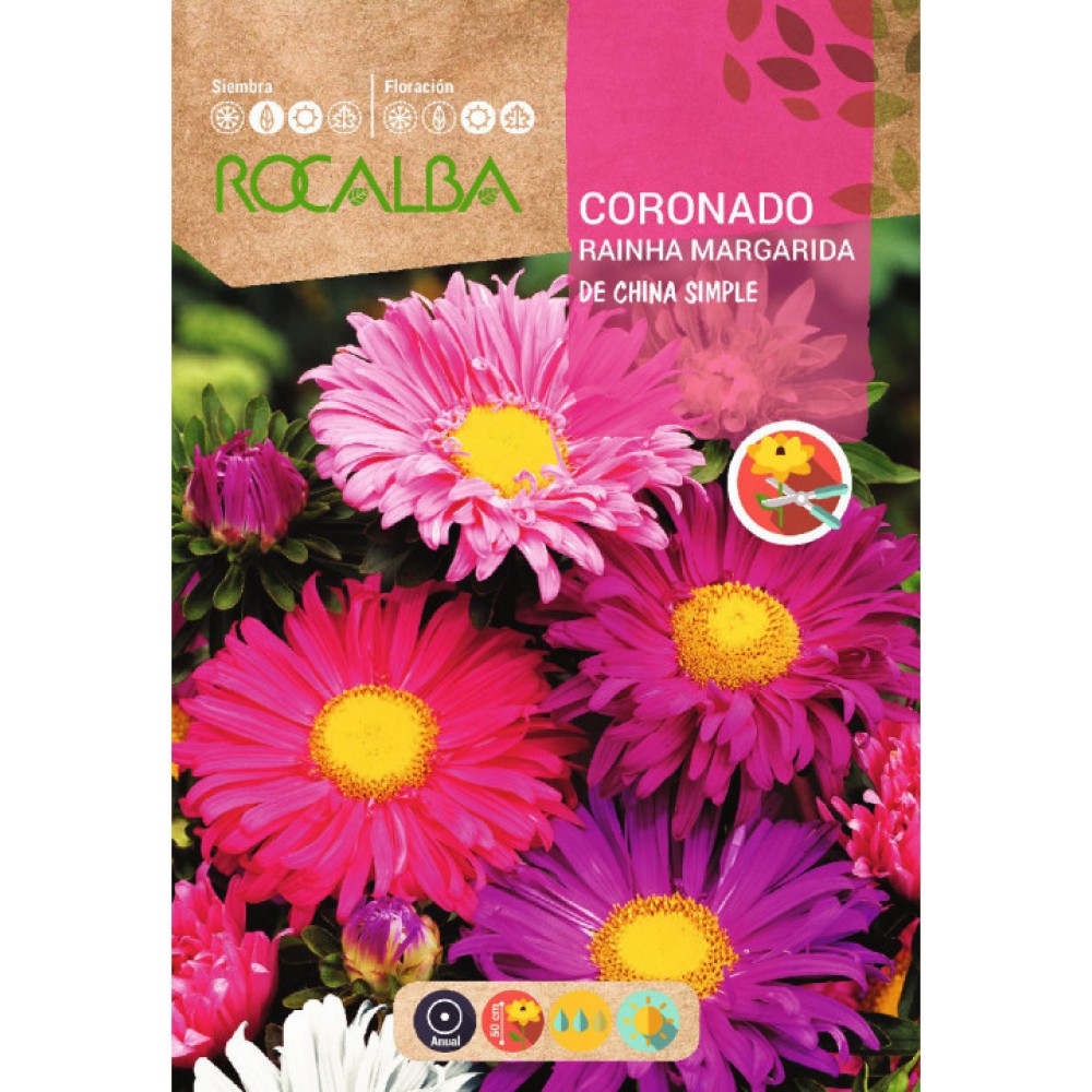 S.SECIAS ROCALBA DA CHINA VARIADA