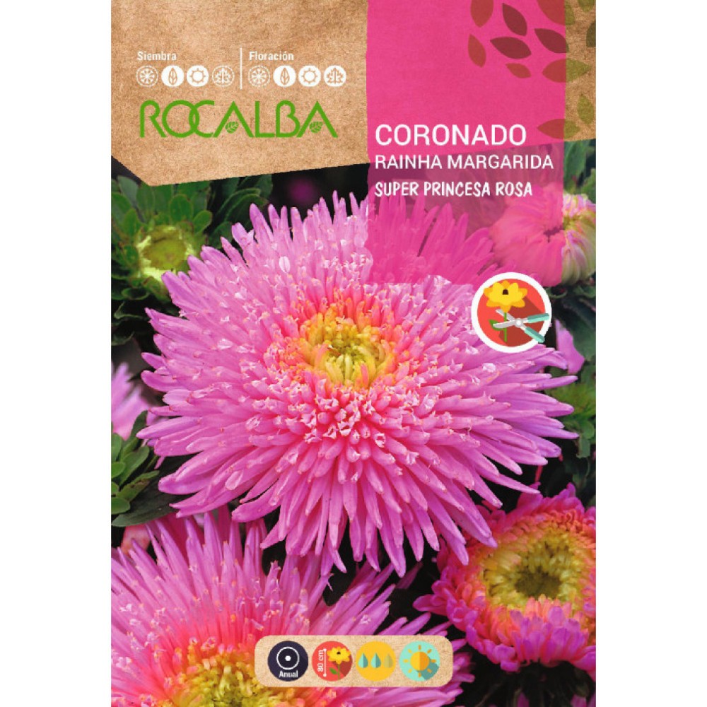 S.SECIAS ROCALBA SUPER PRINCESA ROSA