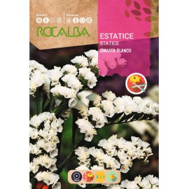 S.STATICE ROCALBA SINUATA BRANCO