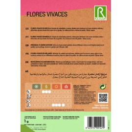 S.FLORES ROCALBA VIVAZES