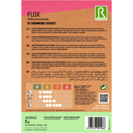S.FLOX ROCALBA DRUMMOND VARIADAS