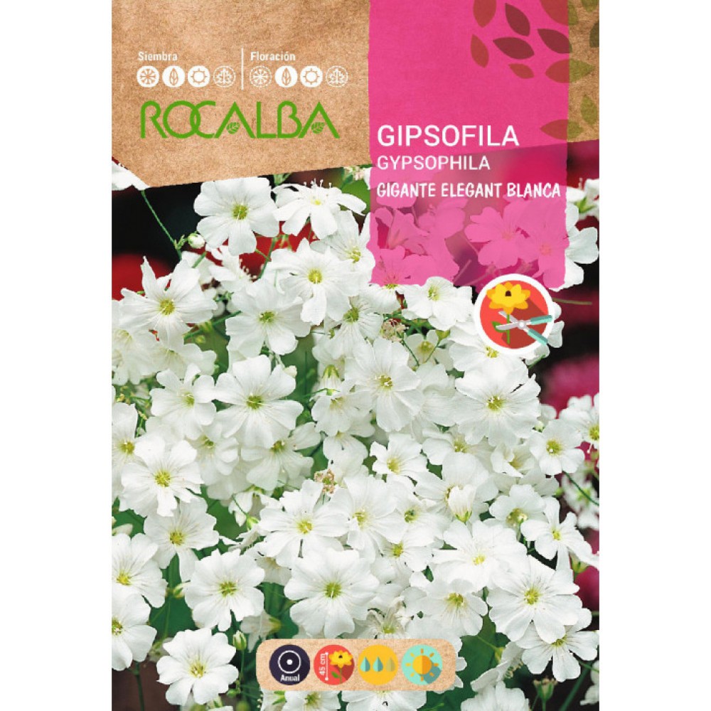 S.GIPSOFILA ROCALBA GIGANTE ELEG.BRANCA