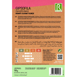 S.GIPSOFILA ROCALBA GIGANTE ELEG.BRANCA