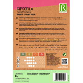 S.GIPSOFILA ROCALBA ROSA GIGANTE